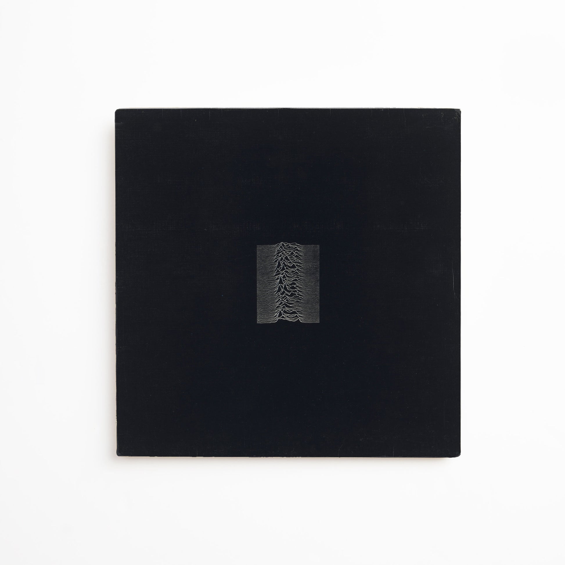 The Unknown Pleasures Bandana