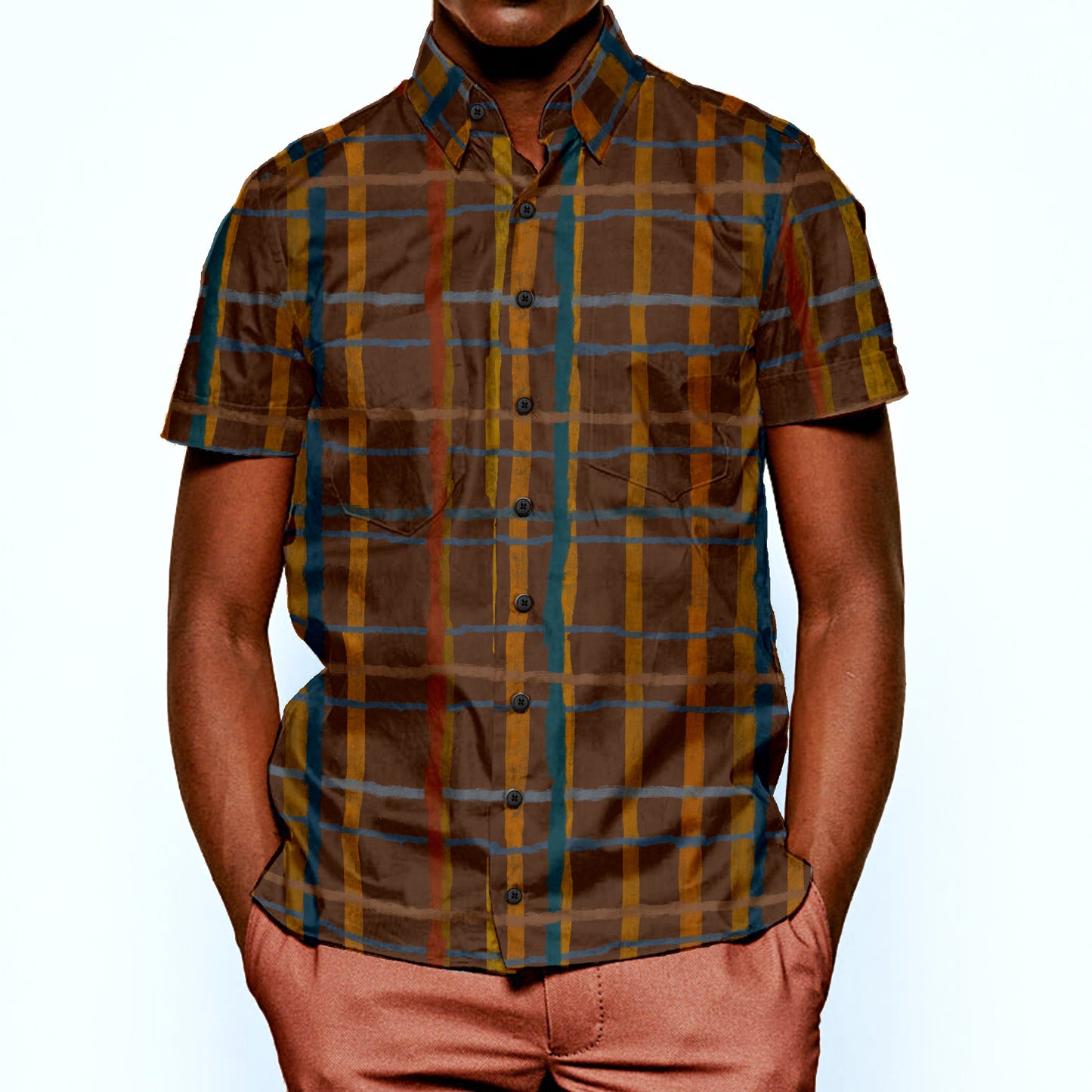 The Rembrandt Plaid Short Sleeve Shirt