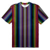 The 2020 Pride Plaid Stripe T-Shirt